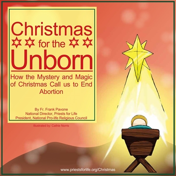 Picture of Christmas for the Unborn E-Booklet