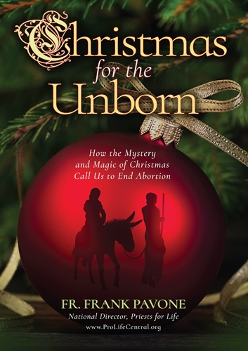Picture of Christmas for the Unborn