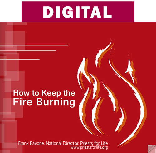 How to Keep the Fire Burning