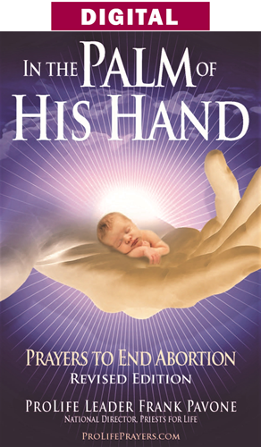In the Palm of His Hand 