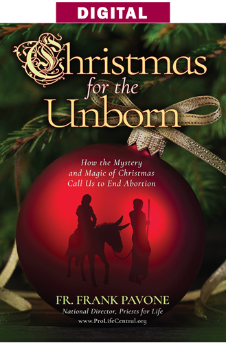 Christmas for the Unborn