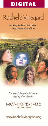 Rachel's Vineyard Brochure - Digital Version